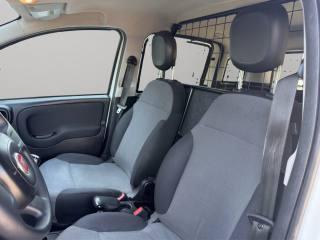 FIAT Panda usata 12