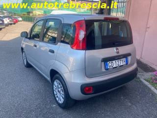 FIAT Panda usata, con Alzacristalli elettrici