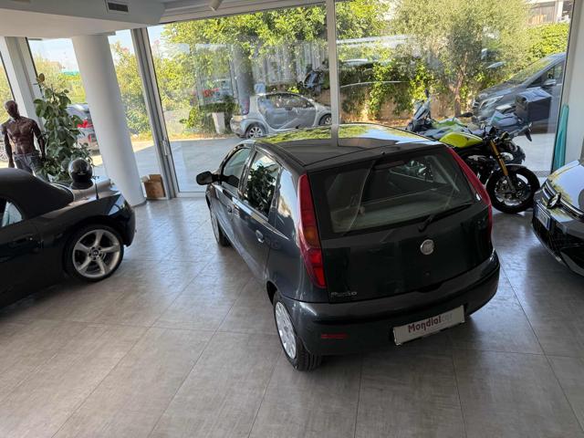 FIAT Punto usata 7