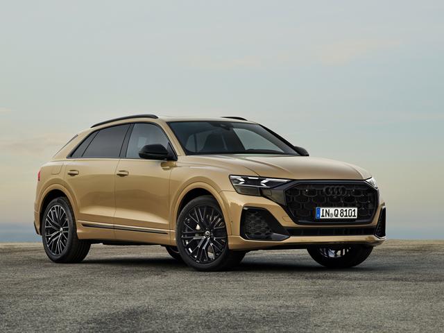AUDI Q8 usata, con ABS