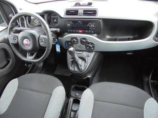 FIAT Panda usata, con Airbag testa