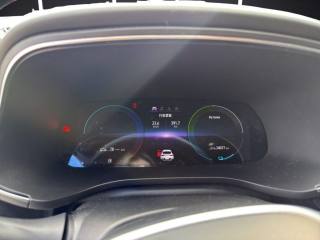 RENAULT Arkana usata, con Controllo trazione