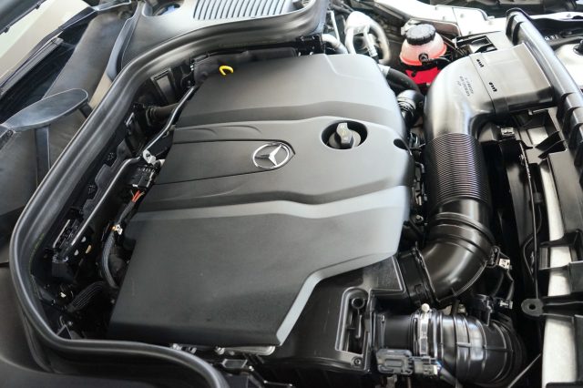 MERCEDES-BENZ GLC 250 usata 62