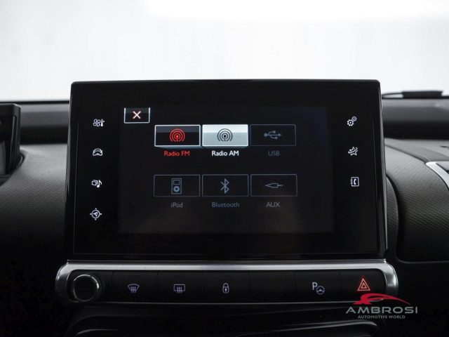 CITROEN C4 Cactus usata 14