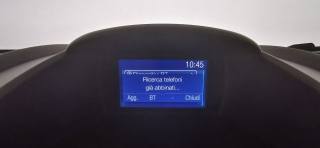 FORD Fiesta usata 55