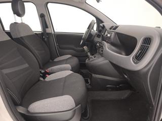 FIAT Panda usata 24