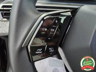 PEUGEOT 3008 usata, con Controllo trazione