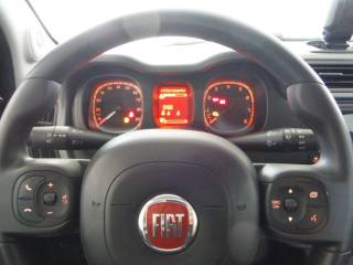 FIAT Panda usata, con Controllo trazione