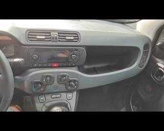 FIAT New Panda usata, con Controllo automatico clima
