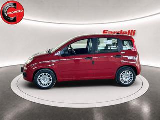 FIAT Pandina usata, con Airbag Passeggero