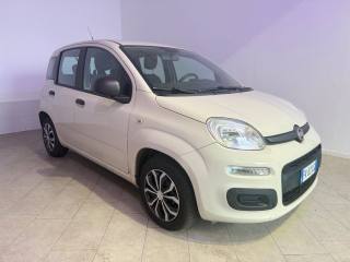 FIAT Panda usata 1