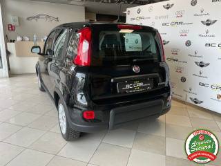 FIAT Panda usata, con Autoradio