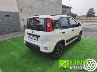 FIAT Panda usata 4
