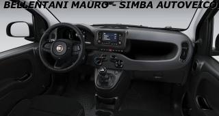 FIAT Panda usata, con Antifurto