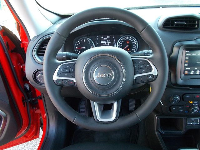 JEEP Renegade usata, con Cruise Control