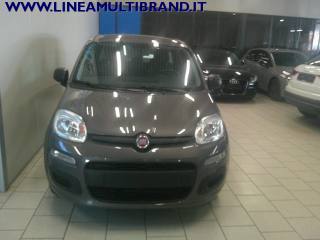 FIAT Panda usata, con Airbag testa