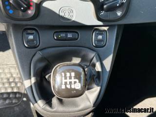 FIAT Panda usata 14