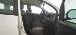FIAT Panda usata 35