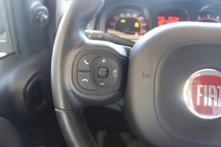 FIAT Panda usata 15
