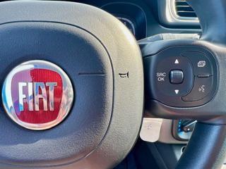 FIAT Panda usata 19