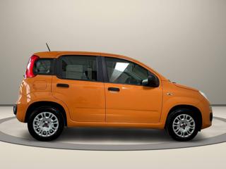 FIAT Panda usata, con Alzacristalli elettrici