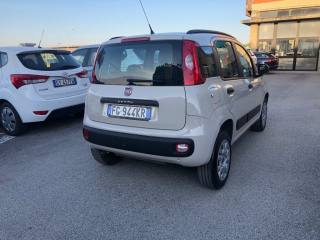 FIAT Panda usata, con Controllo trazione