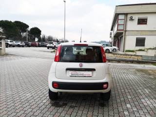 FIAT Panda usata, con Alzacristalli elettrici