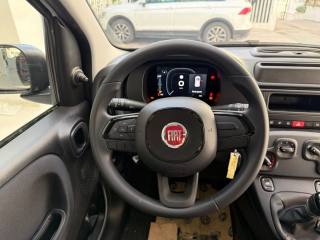 FIAT Panda usata, con Servosterzo