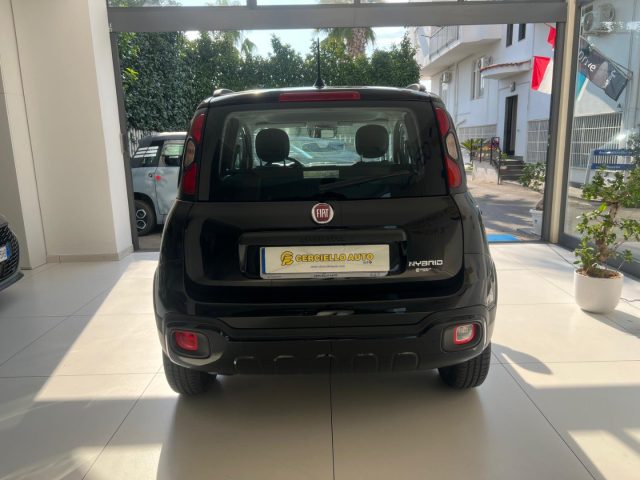 FIAT Panda Cross usata, con Controllo trazione