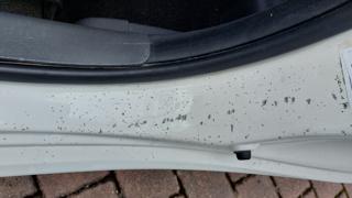 FIAT 500 usata, con Sedile posteriore sdoppiato
