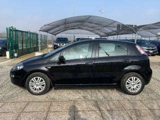 FIAT Punto usata, con Controllo trazione