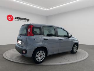 FIAT Panda usata, con Alzacristalli elettrici