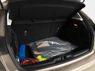 FORD Focus usata, con Cruise Control