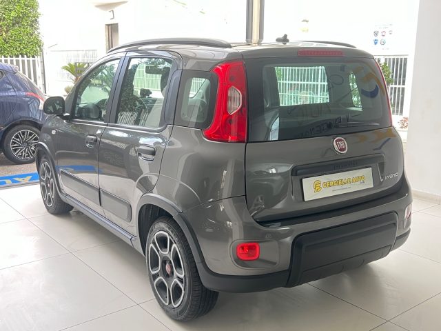 FIAT Panda usata, con Antifurto