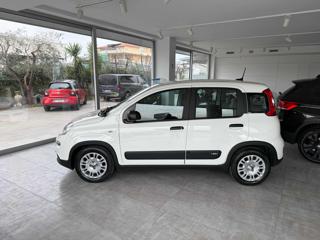 FIAT Panda usata, con Cronologia tagliandi
