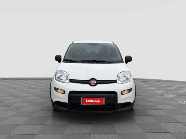 FIAT Panda usata 7