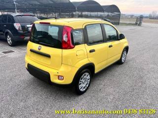 FIAT Panda usata, con Airbag Passeggero