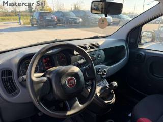 FIAT Panda usata, con Servosterzo