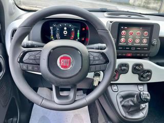 FIAT Panda usata, con Servosterzo