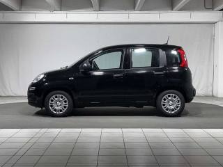 FIAT Panda usata, con Airbag