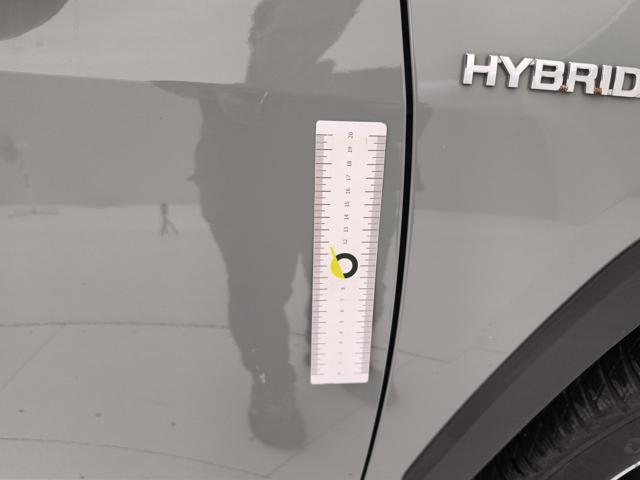 TOYOTA RAV 4 usata, con Sensore di luce