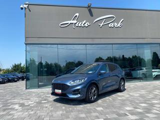 FORD Kuga 2.0 EcoBlue 120 CV aut. 2WD ST-Line