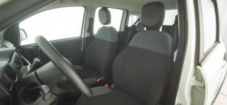 FIAT Panda usata 44