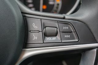 ALFA ROMEO Stelvio usata 57