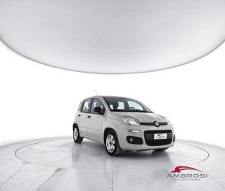 FIAT Panda usata 1