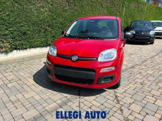 FIAT Panda usata, con Controllo trazione