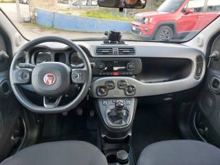 FIAT Panda usata, con Controllo trazione