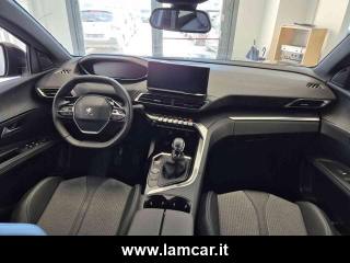 PEUGEOT 3008 usata, con Servosterzo