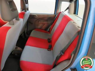 FIAT Panda usata, con Fendinebbia