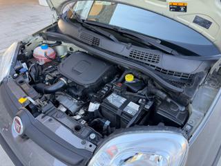 FIAT Panda usata 29